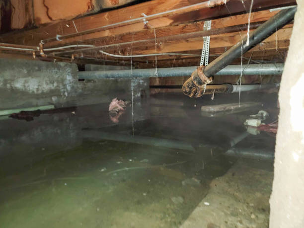 Water damage restoration insurance claims in Sleepy Hollow, IL
