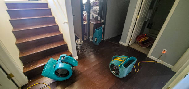 Professional Water damage restoration in Sleepy Hollow, IL