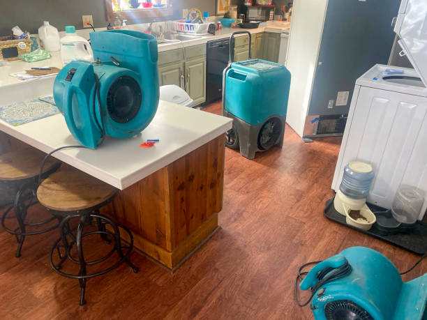Best Professional water damage repair  in Sleepy Hollow, IL
