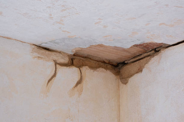 Best Water damage cleanup near me  in Sleepy Hollow, IL