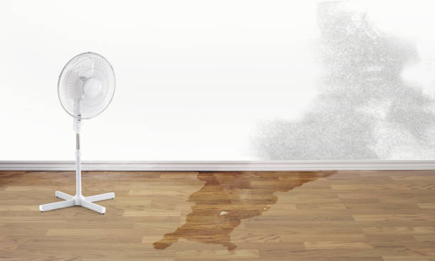 Best Professional water damage repair  in Sleepy Hollow, IL