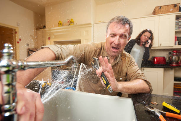 Best Flood damage cleanup  in Sleepy Hollow, IL